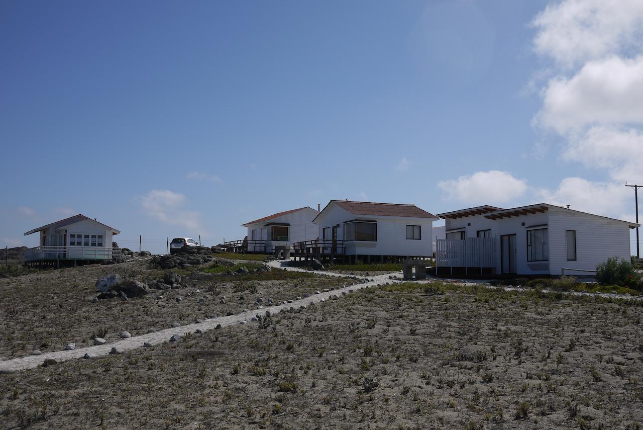 Las Hualas Punta de Choros Exterior foto