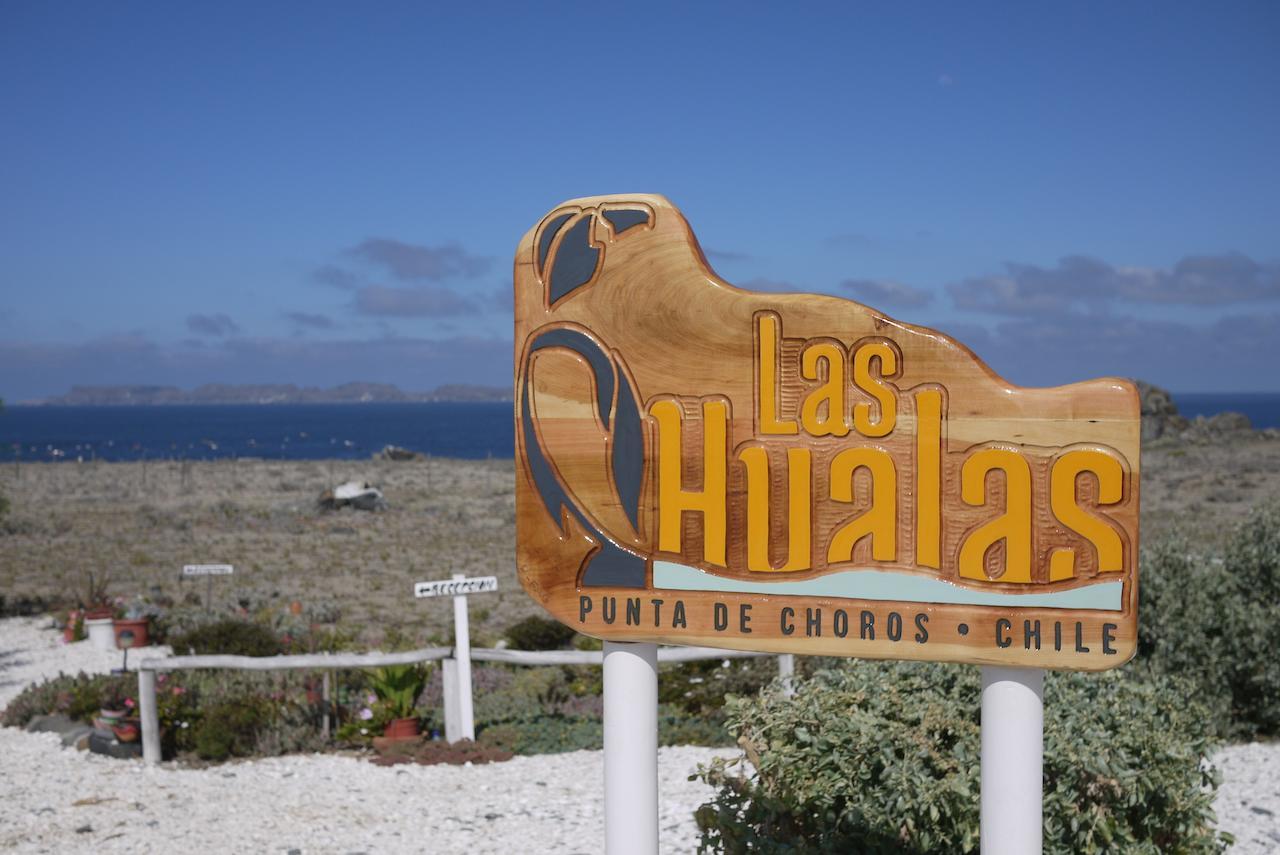 Las Hualas Punta de Choros Exterior foto