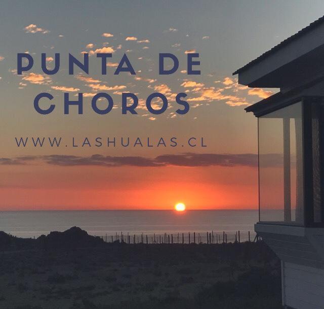 Las Hualas Punta de Choros Exterior foto