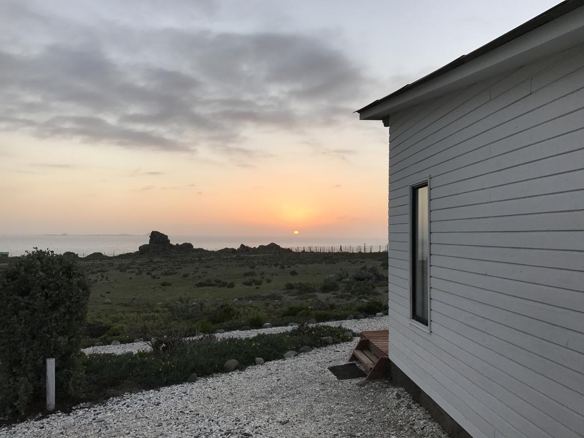 Las Hualas Punta de Choros Exterior foto
